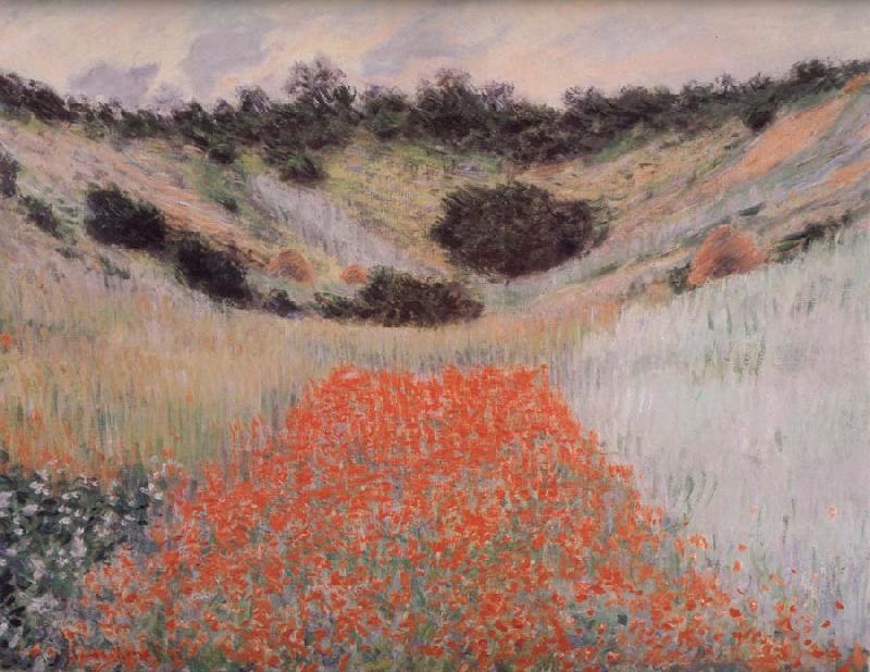 Claude Monet Poppy Field in a Hollow Near Giverny China oil painting art